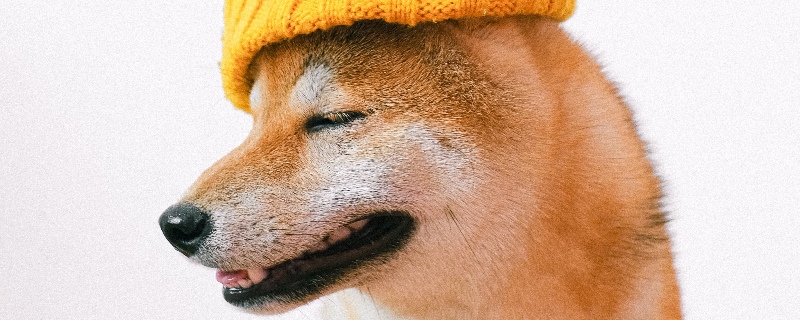 How to make dogs sleep longer