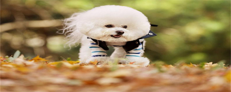 Do Gongbomei need to be sterilized?