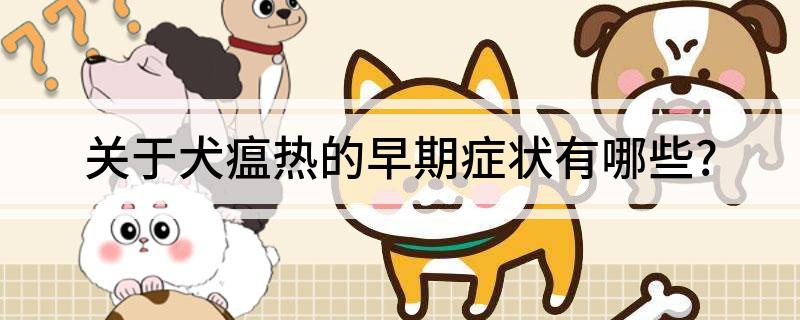 What are the early symptoms of canine distemper?