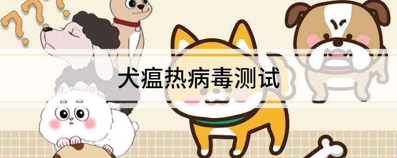 Canine distemper virus test