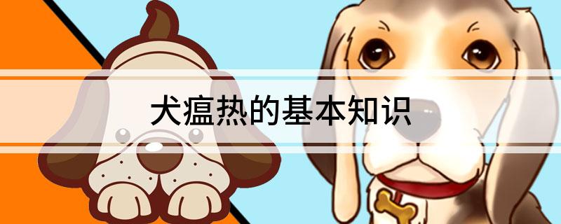Basic Knowledge of Canine Distemper