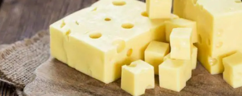 can dogs eat cheese can dogs eat cheese