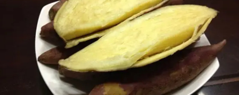 Can Dogs Eat Sweet Potatoes?