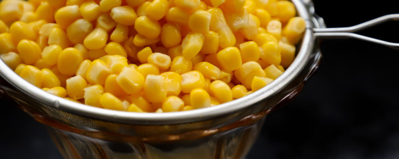 Can Dogs Eat Sweet Corn?