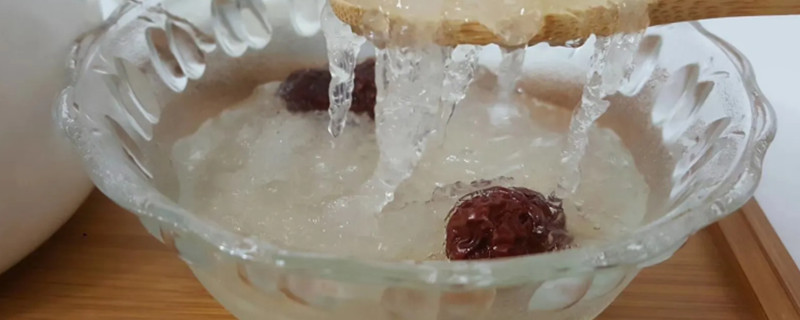 Can dogs eat bird's nest?