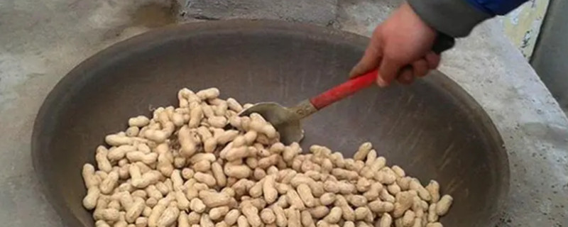 Can dogs eat fried peanuts?