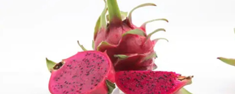 Can dogs eat dragon fruit?