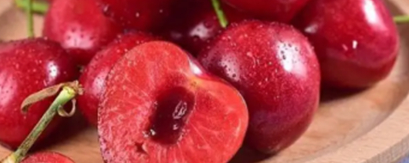 Can dogs eat cherries?