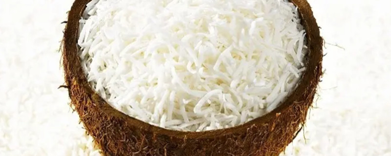Can Dogs Eat Coconut?