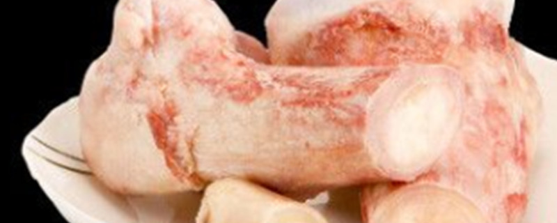 Can Dogs Eat Rib Bones?