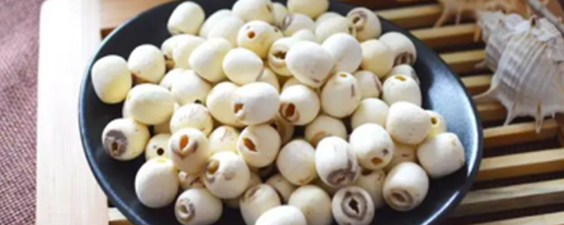 Can dogs eat lotus seeds?