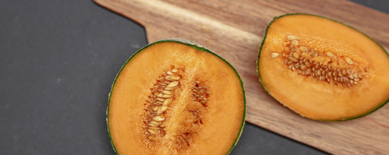 Can dogs eat cantaloupe?