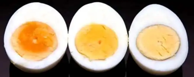Can dogs be allergic to egg yolk?