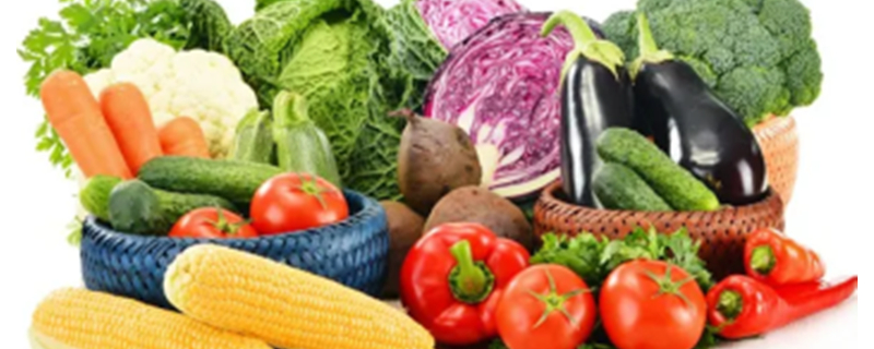 What Vegetables Can Dogs Eat Raw?
