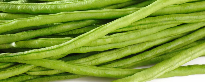 Can Dogs Eat Cowpeas?