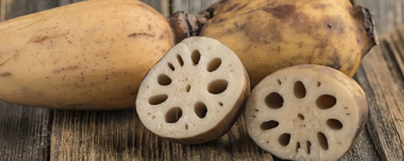 Can dogs eat lotus root