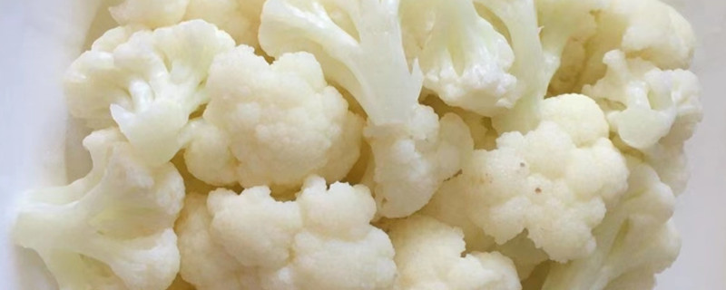 Can Dogs Eat Cauliflower?