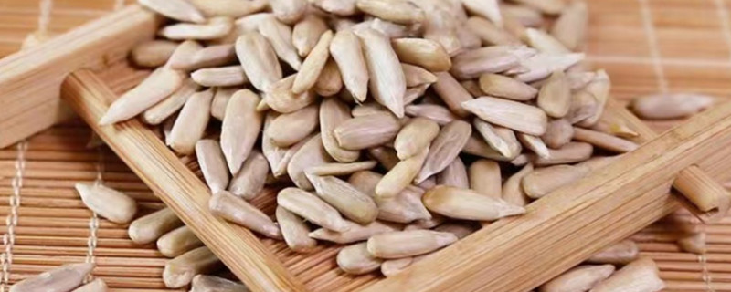 Can dogs eat melon seeds?