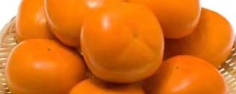 Can Dogs Eat Crispy Persimmons?