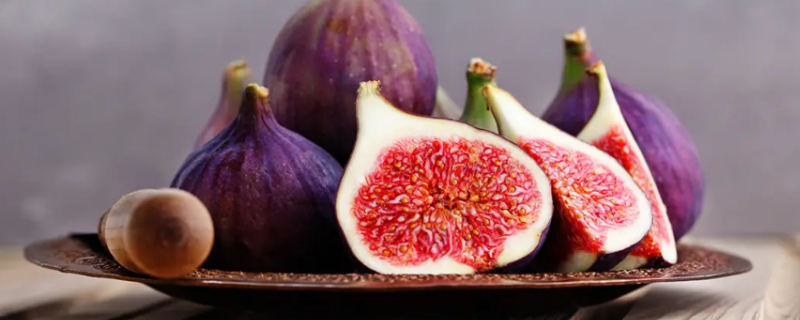 Can Dogs Eat Figs?
