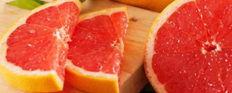 Can Dogs Eat Grapefruit?