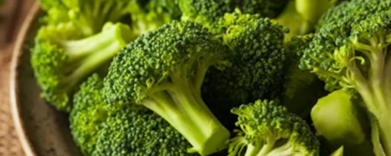 Dogs Can Eat Broccoli