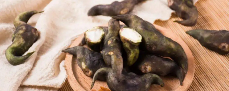 Can dogs eat water chestnut?