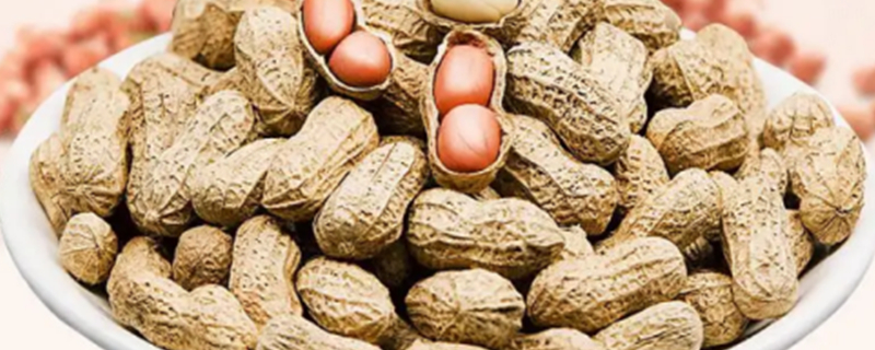 Can dogs eat fried peanuts?