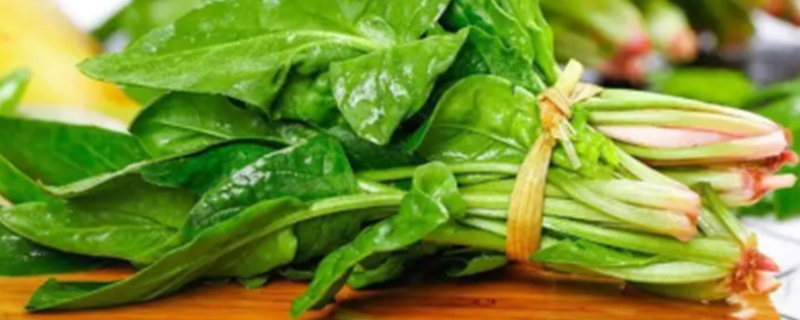 Can dogs eat cooked spinach Can cooked spinach be fed to dogs