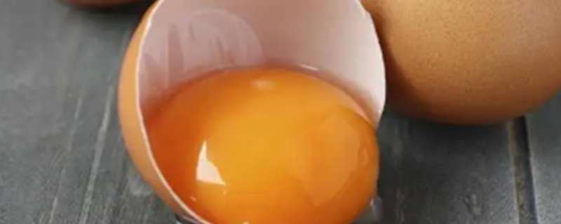 Can dogs eat egg yolks?
