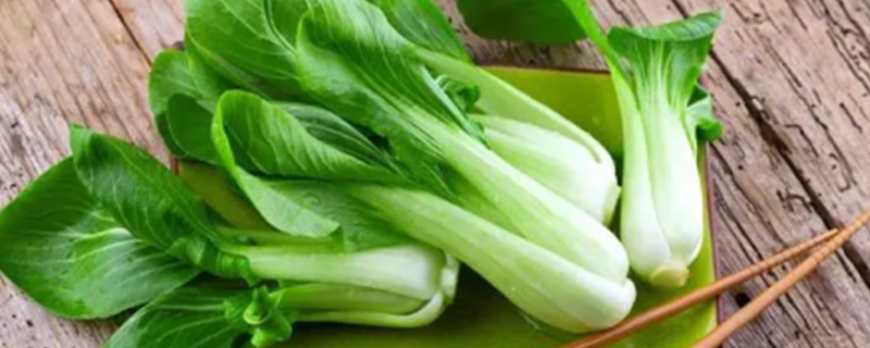 What vegetables are good for dogs