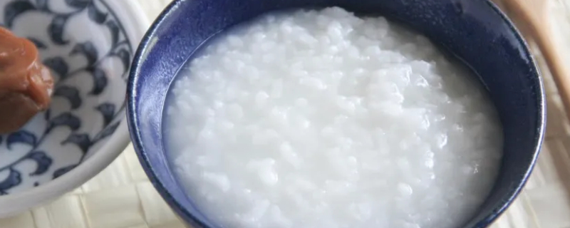 Can puppies eat porridge?