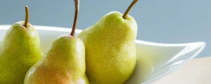 Can dogs eat pears?