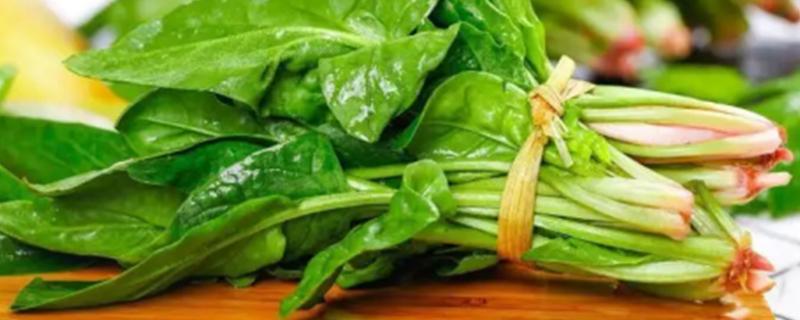 Can puppies eat spinach