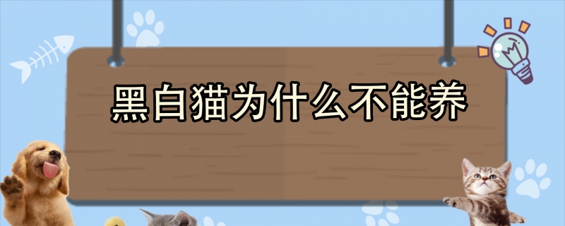 Why can't black and white cats be raised?