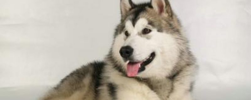 Alaska recognizes the owner's performance