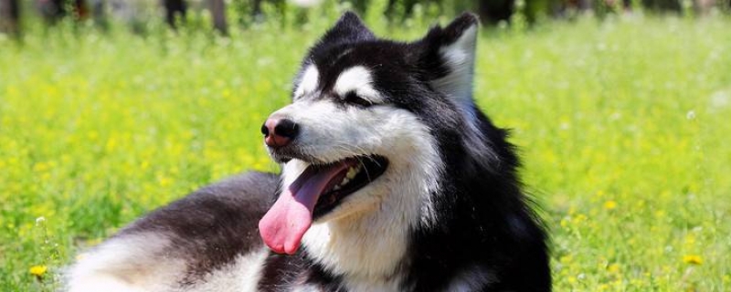 Is it hot in Alaska?