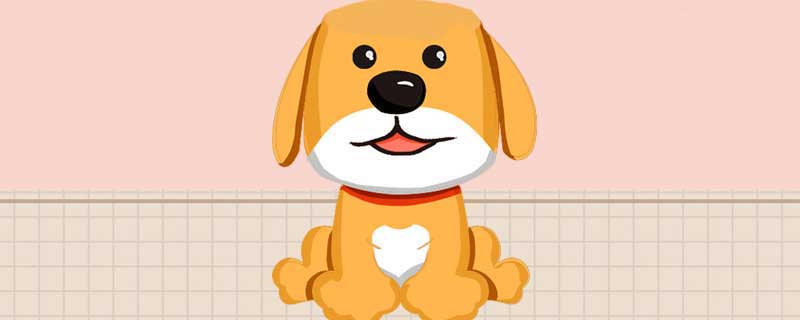 Why is the golden retriever so docile?