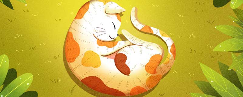 What kind of virus does a wild cat have?